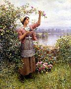 Daniel Ridgeway Knight Gathering Roses Sweden oil painting artist